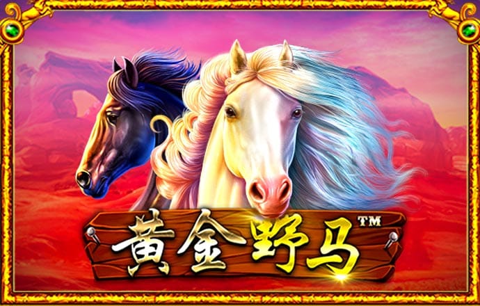 BET9九卅2024